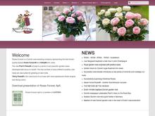 Roses Forever ApS